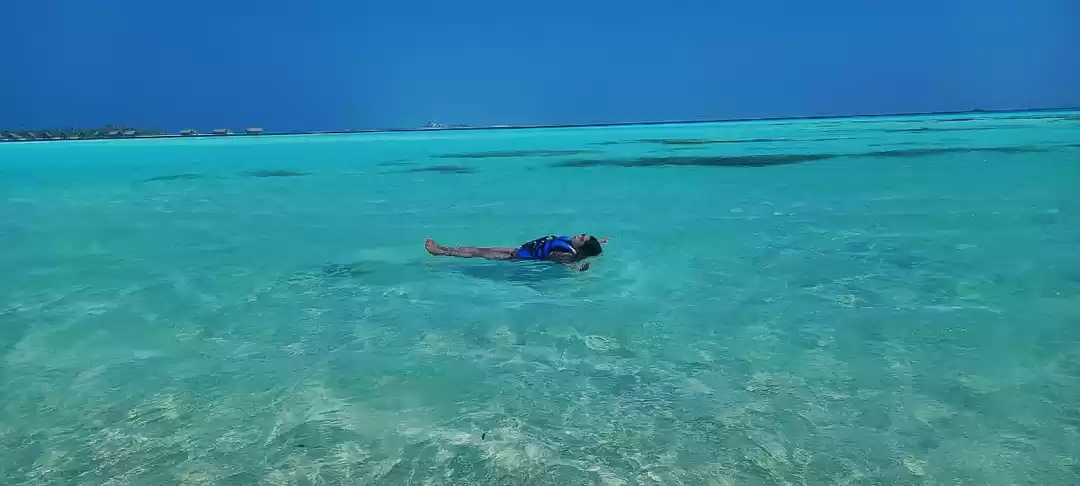 Photo of Stepsto Pardise#THE 