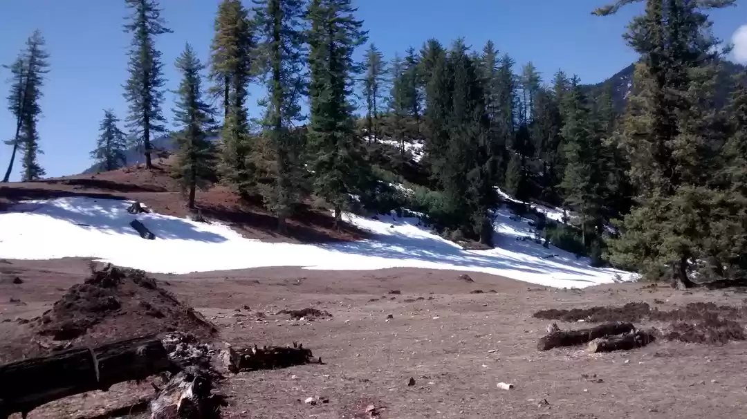 Photo of Rara Lake Trek