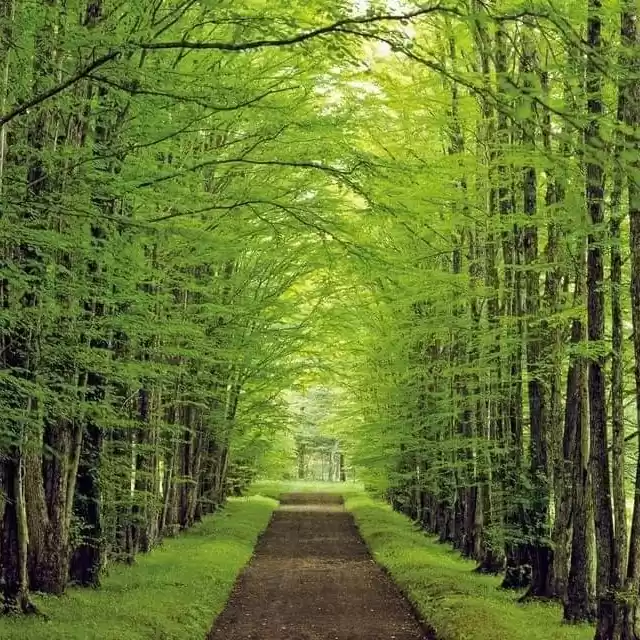 Photo of Azeem Ansari