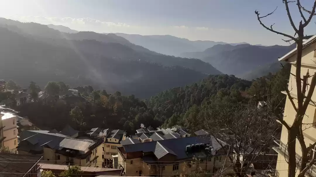 Photo of Exploring the Majest