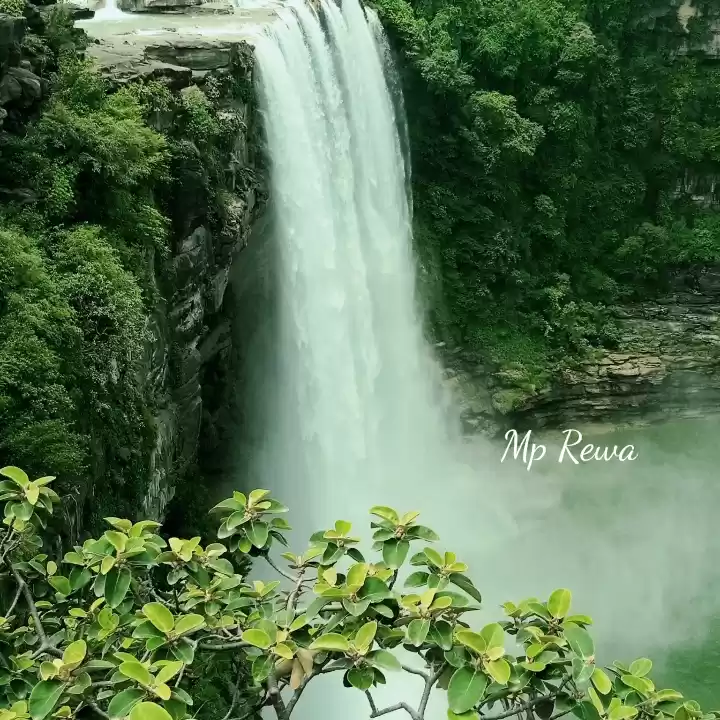 Photo of Mp rewa keyoti