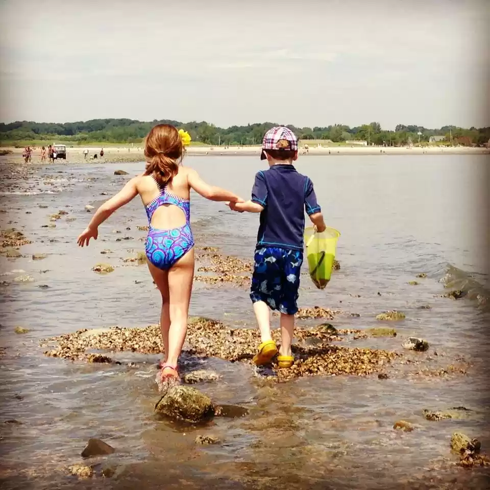 Photo of 6 Reasons Why Your B