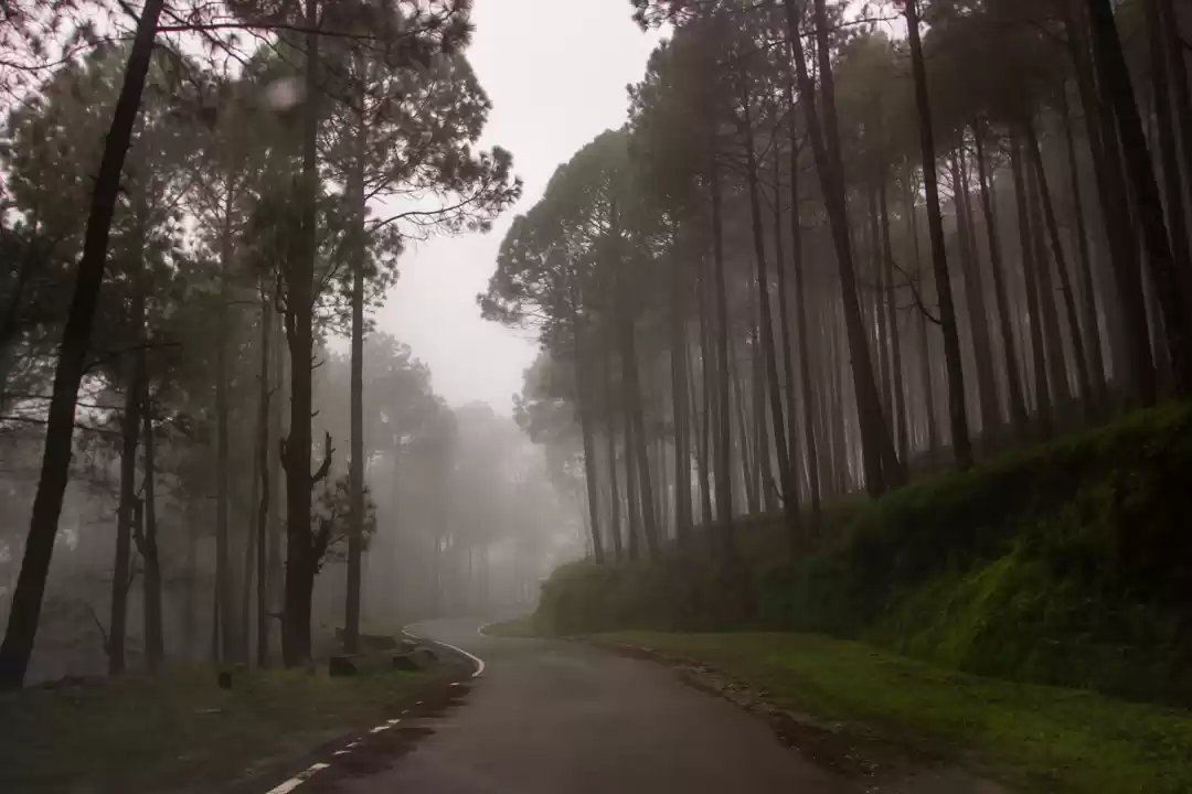 Photo of Our journey to the L