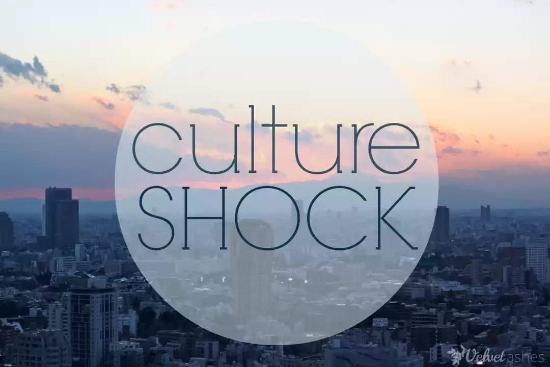 Photo of These 4 places will 