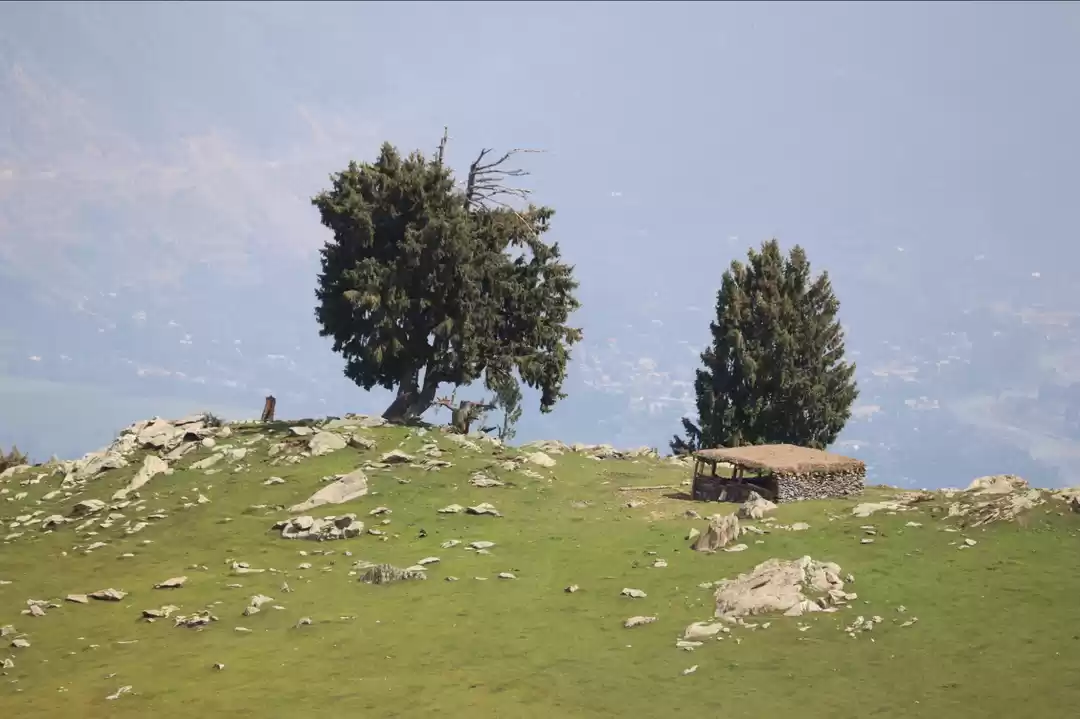 Photo of Mohand Marg