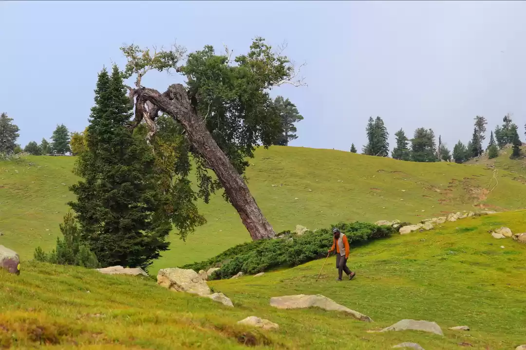 Photo of Mohand Marg