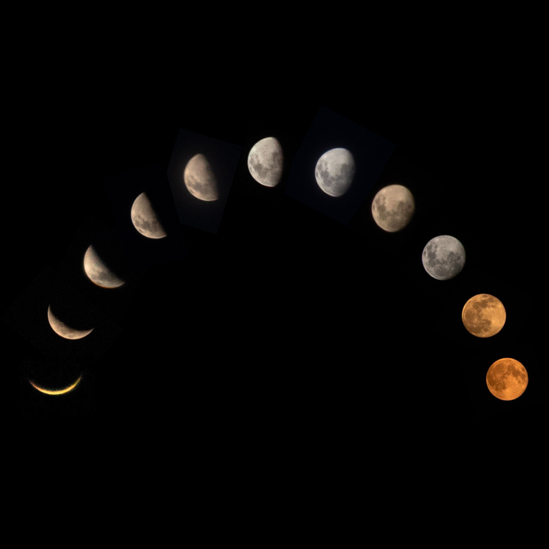 Photo of Moon Phases (Pink Mo