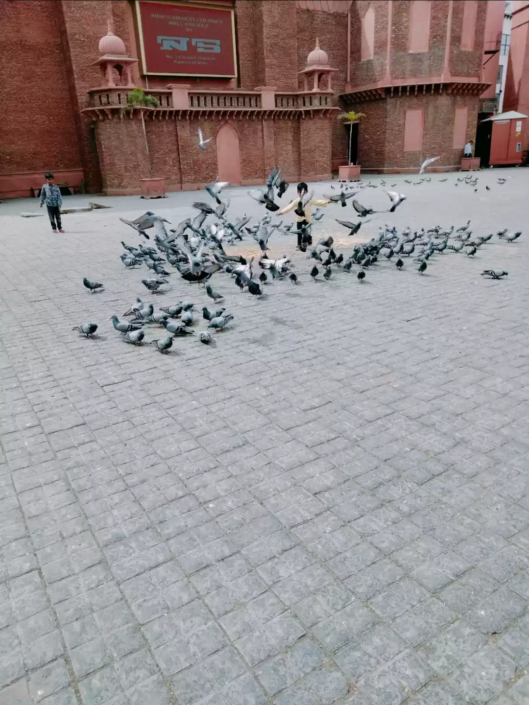 Photo of Outside Brother Dhab