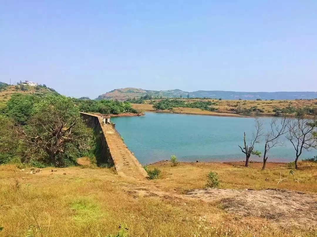 Photo of Elements coexist #fa