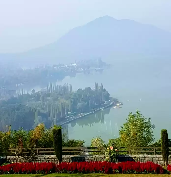 Photo of Paradise lost (almos