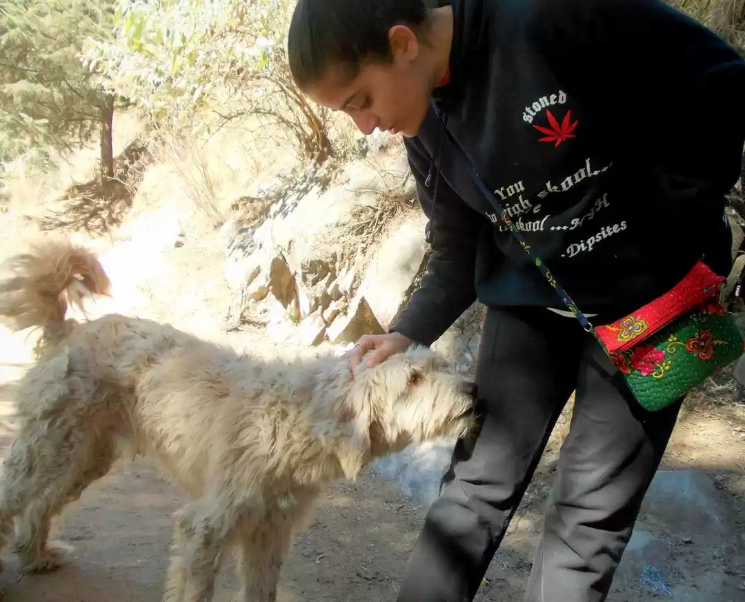 Photo of Travel Tales: Of all