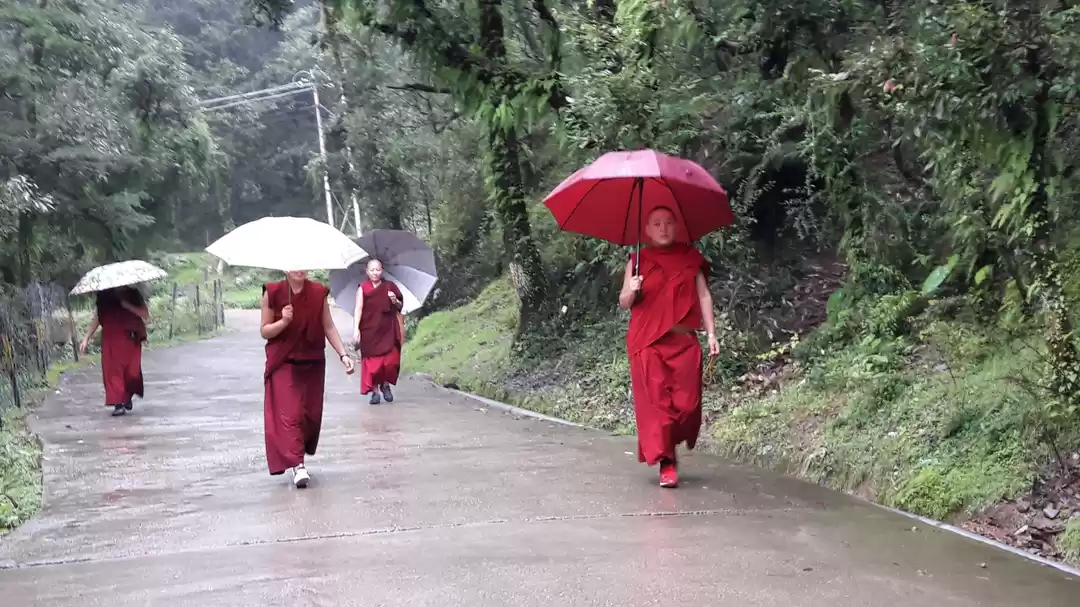 Photo of Solo trip premier ex