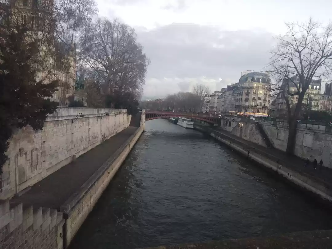 Photo of Part- 2 - love for P