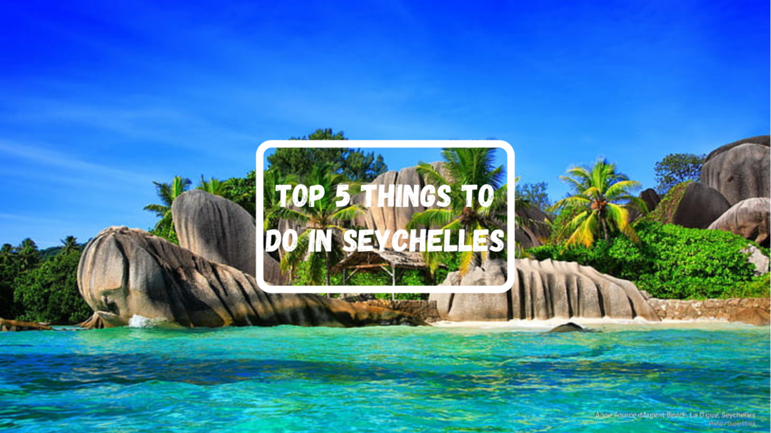 Photo of Top 5 things to do i