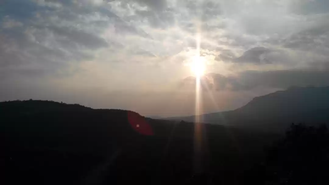 Photo of Slice of Heaven: Chi