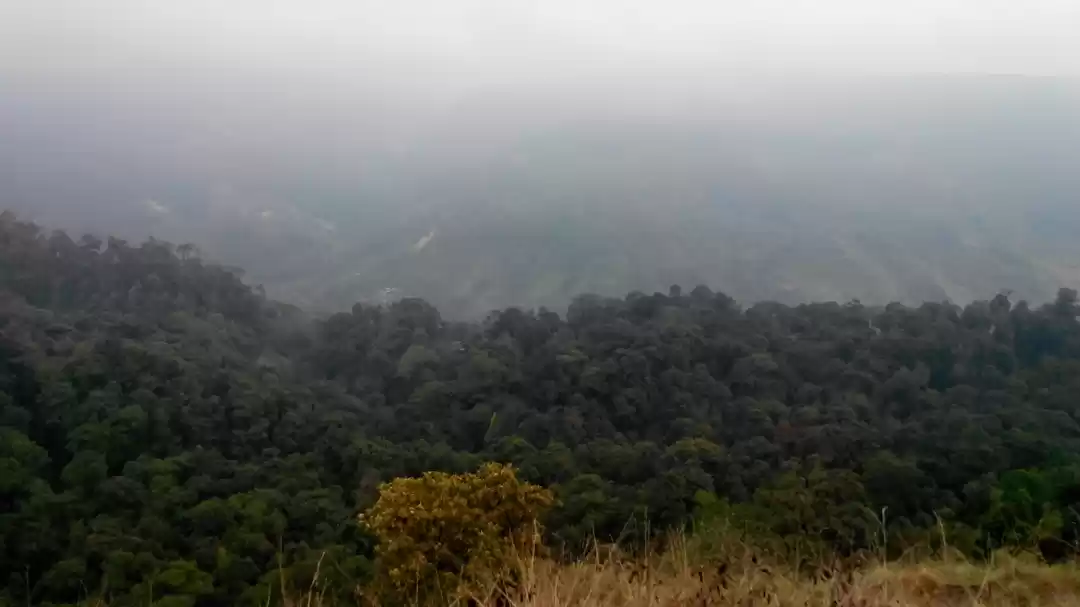 Photo of Hidden Treasure: VAL