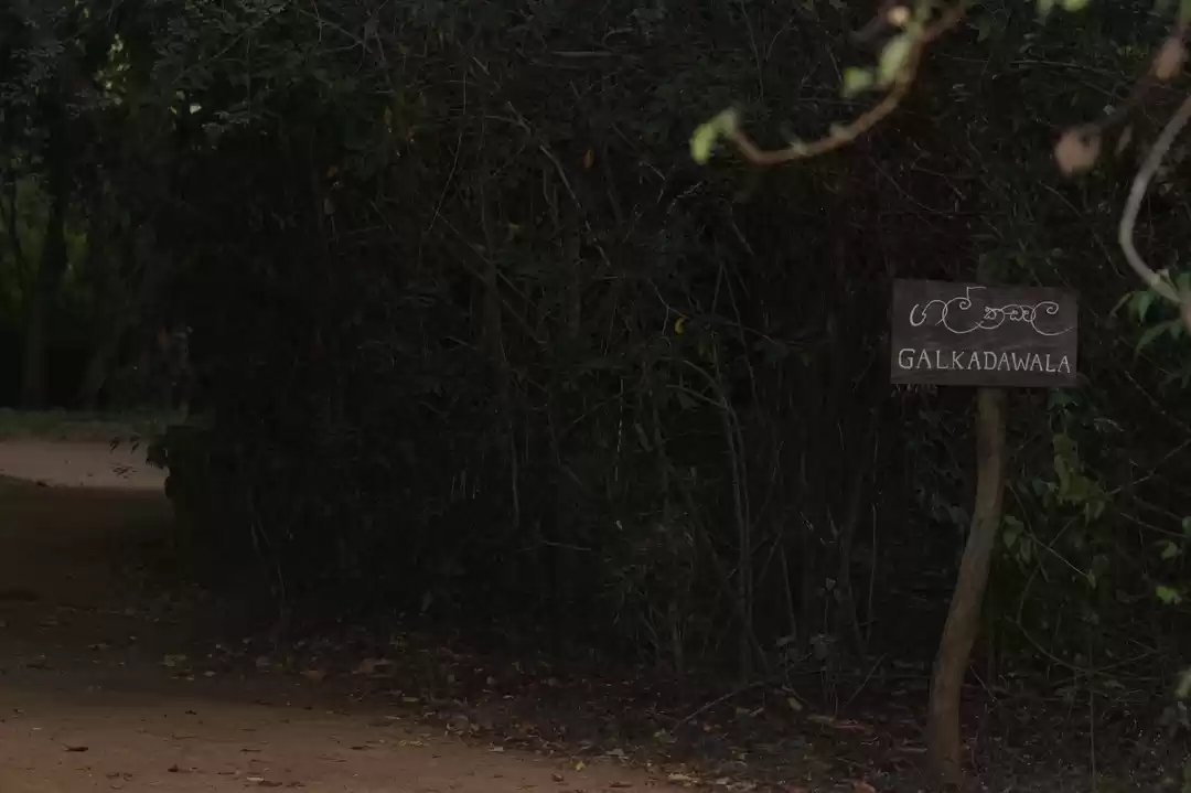 Photo of Soul Searching: Galk