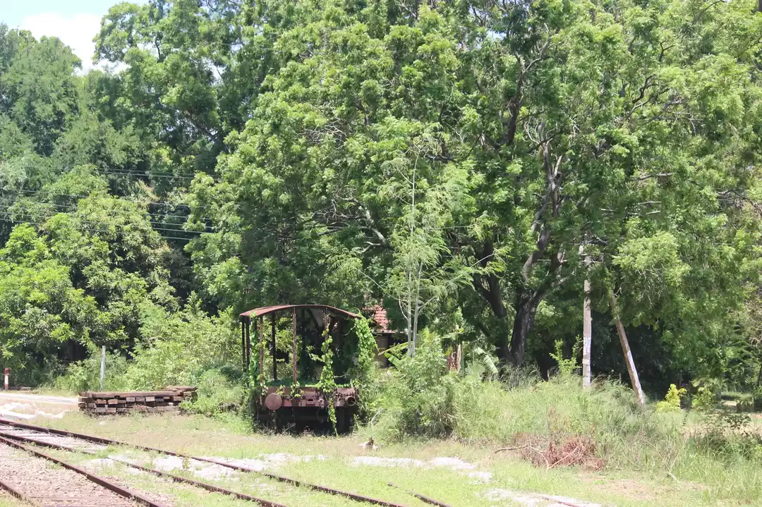 Photo of Train Lullaby!