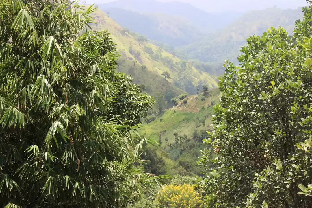 Photo of Fairyland: Ella!