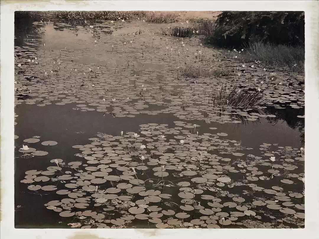 Photo of Dandi Kooch: walking