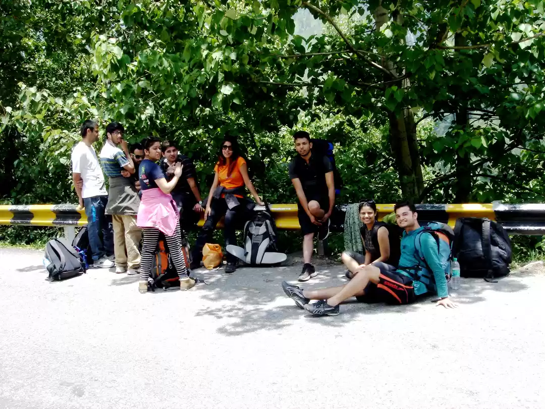 Photo of My First Himalayan T