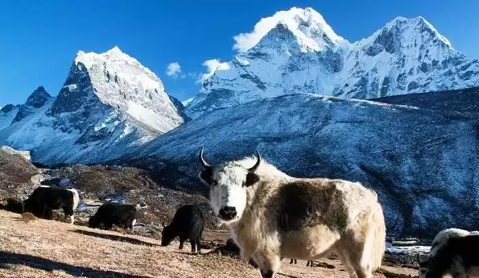 Photo of नेपाल दर्शनीय स्थल ज