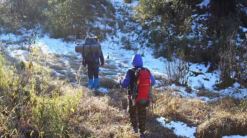 Photo of What are some popula