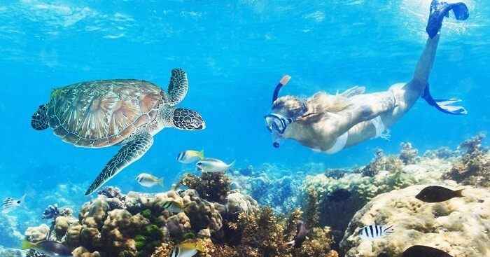 Dive Deep Into India S First Underwater Museum In Pondicherry Tripoto Water sports in india boat hire in india dolphin & whale watching in india speed boats tours in india kayaking & canoeing in india parasailing & paragliding in india river rafting & tubing india water & amusement parks. first underwater museum in pondicherry