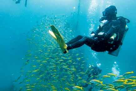 Dive Deep Into India S First Underwater Museum In Pondicherry Tripoto Expected to launch later this year, it is being set up by sushmita singha, president, ma: first underwater museum in pondicherry