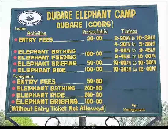 Photo of 10 Best Overnight Ro