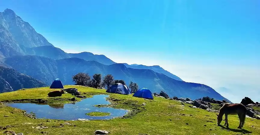 Photo of DHARMSHALA TOURIST P