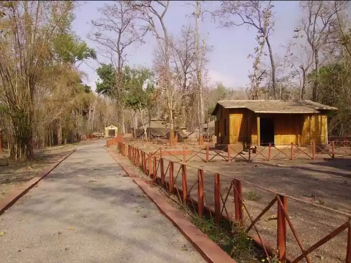 Photo of MAHAL ECO TOURISUM :