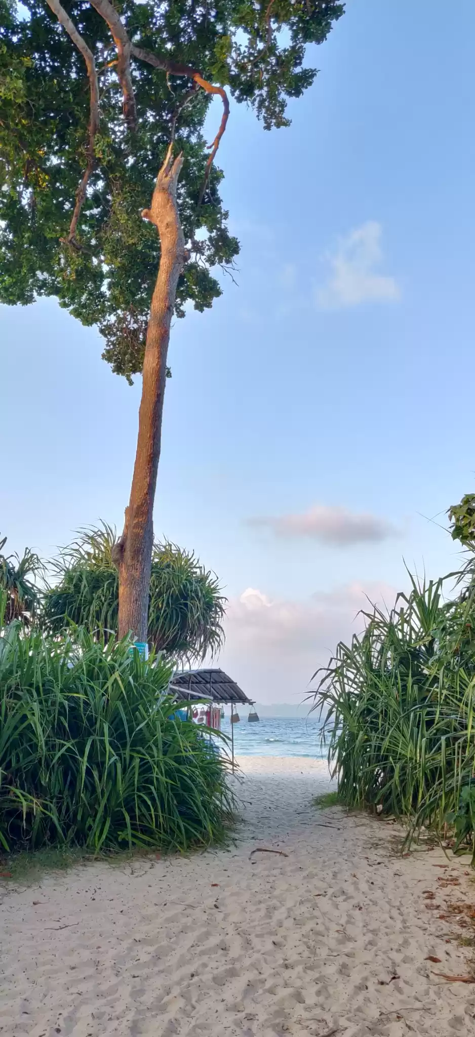 Photo of Island hopping