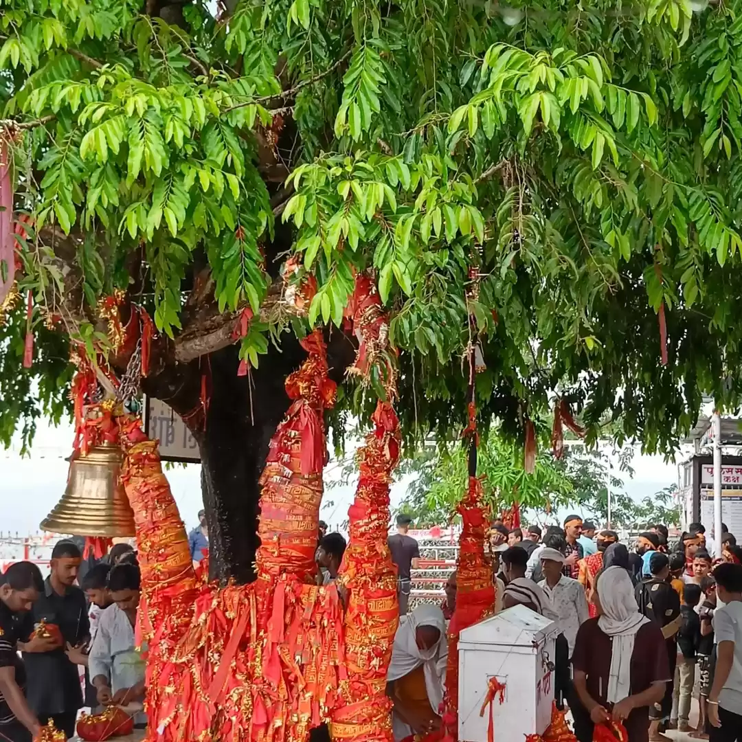 Photo of 🚩108 शक्ति पीठों मे