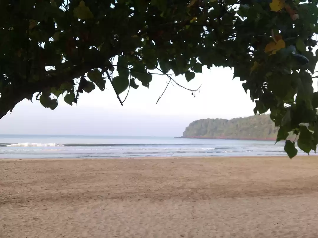 Photo of Viva la Goa!