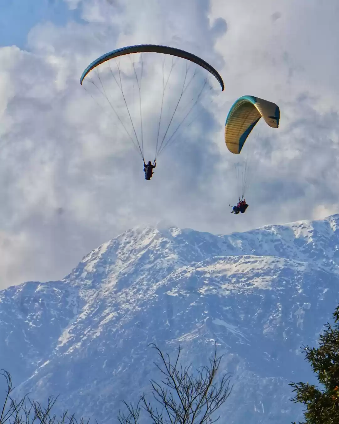 Photo of Bir-Billing Paraglid