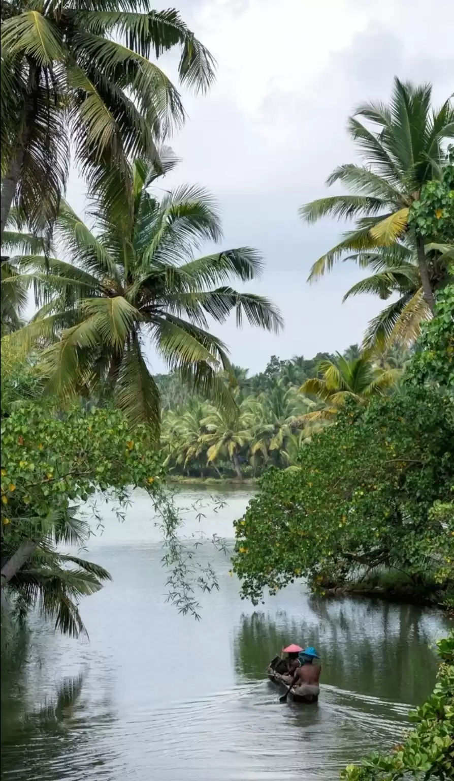 Photo of South Indian 
