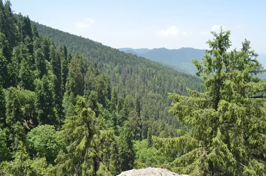 Photo of Hidden Gems of Himac