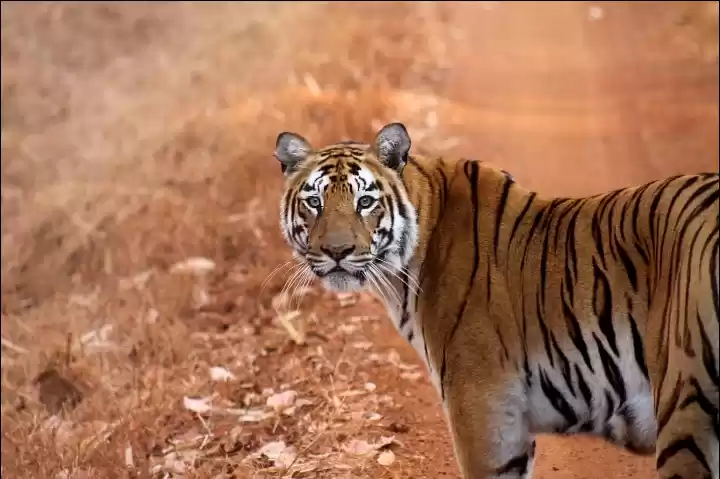 Photo of a Lady called Lara