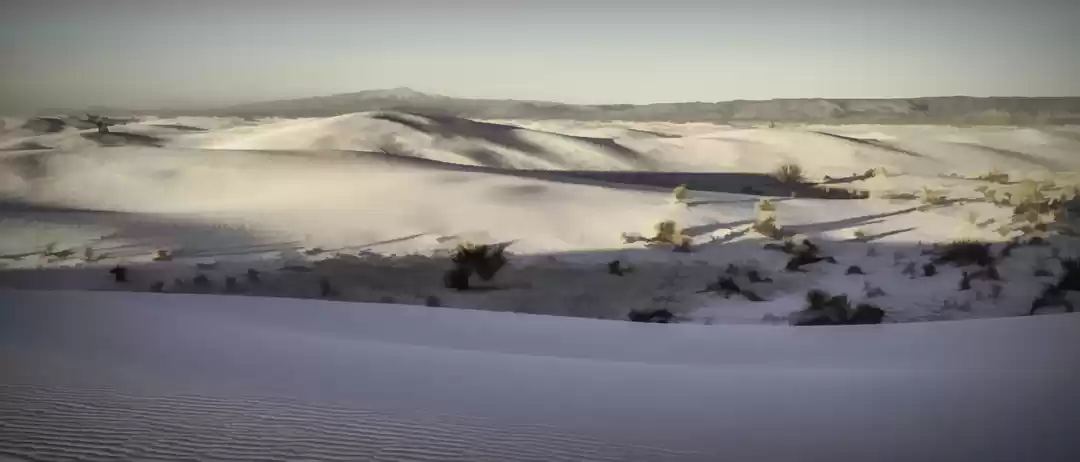 Photo of From Sunset to Winds