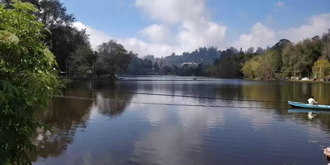 Photo of A trip to happy para