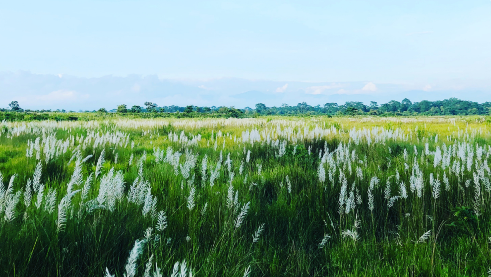 Photo of How To Travel to Man