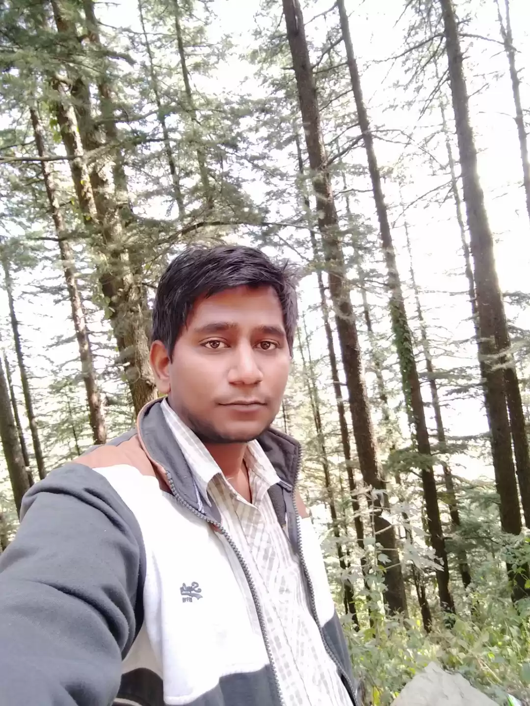 Photo of Naldehra Photo 