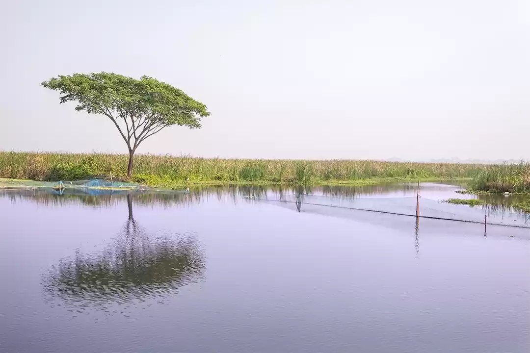 Photo of Birding around Kolka