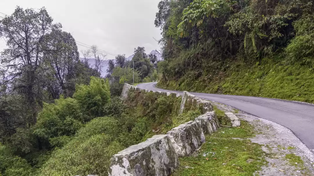 Photo of Mystical Mishmi - Q