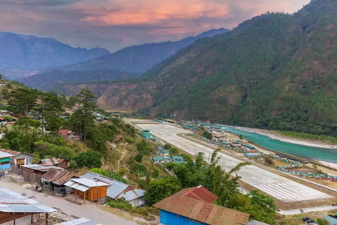 Photo of Birding in dawn-lit 