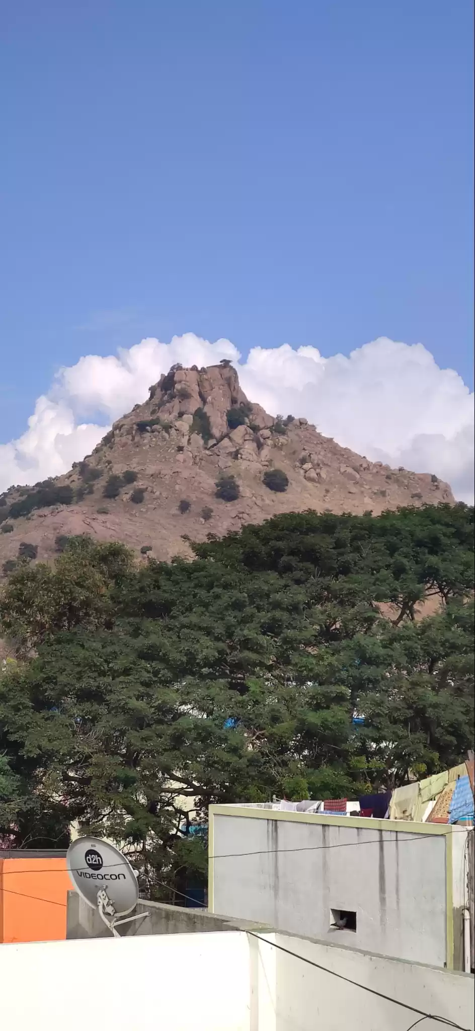 Photo of Vellore Fort