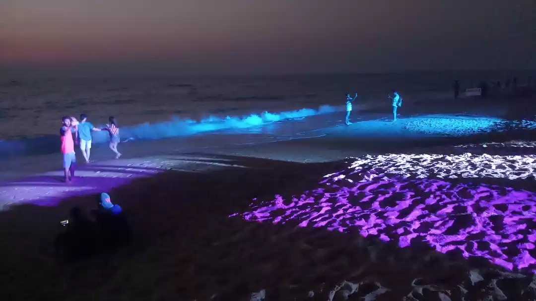 Photo of do visit candolim be