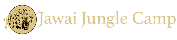 Photo of Jawai Jungle Safari