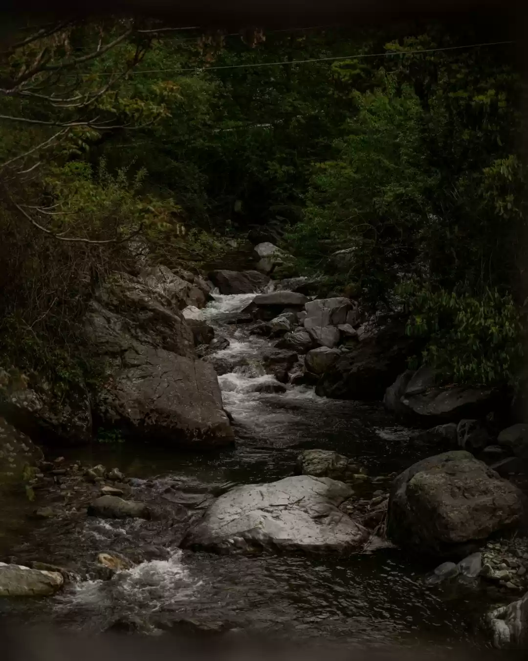 Photo of A unique perspective